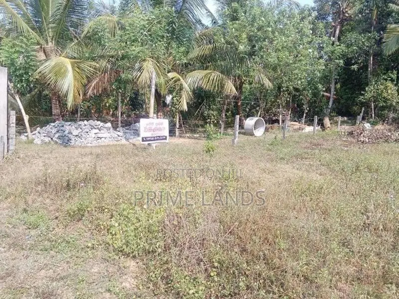 Land for Sale Dikhenapura
