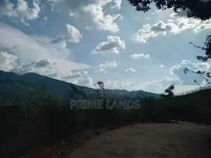 Land for Sale Nillamba