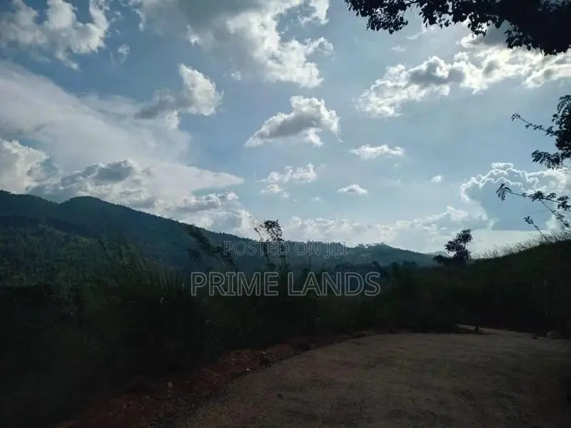 Land for Sale Nillamba