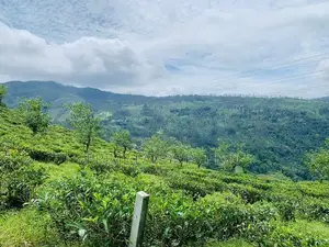 Land for Sale Pudaluoya