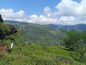 Land for Sale Pudaluoya
