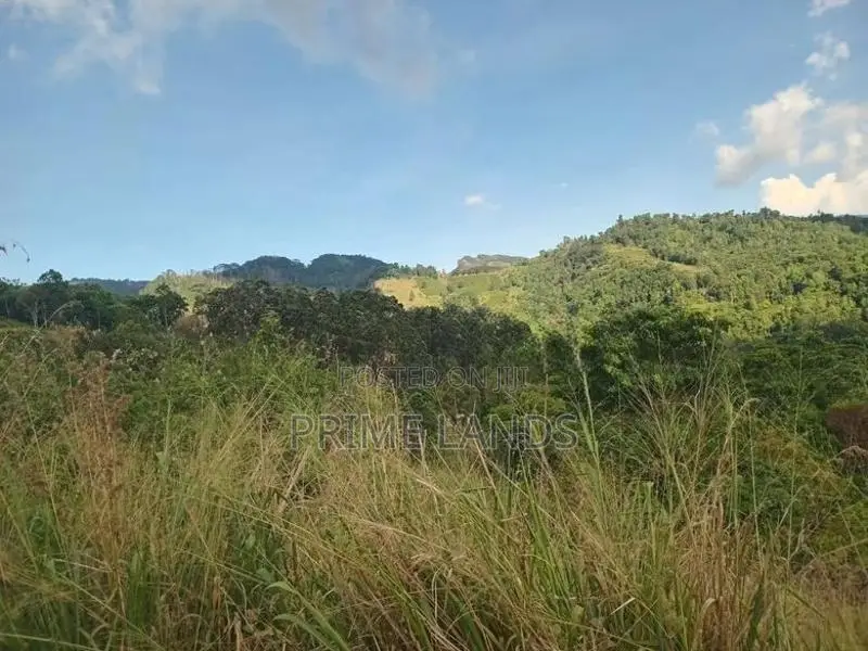 Land for Sale Nillamba