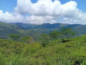 Land for Sale Pudaluoya