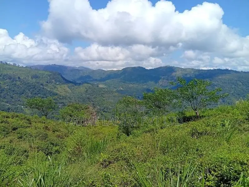 Land for Sale Pudaluoya