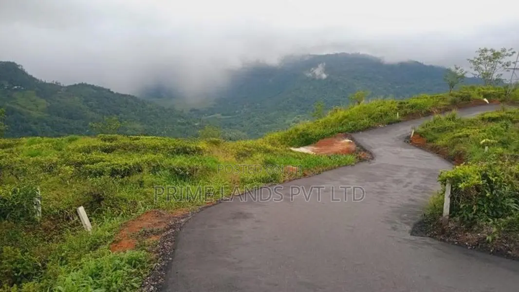 Pudaluoya Land for Sale