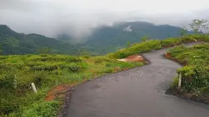 Pudaluoya Land for Sale