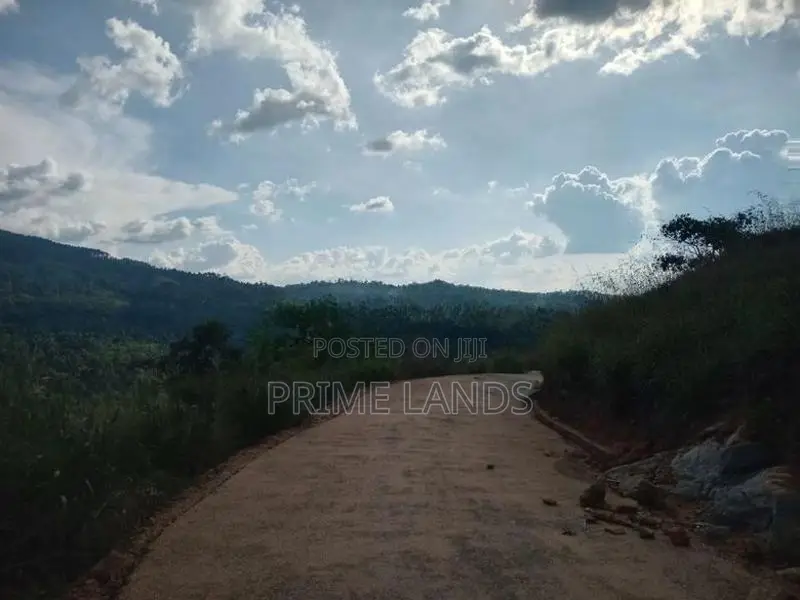 Land for Sale Nillamba