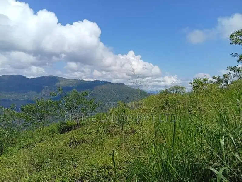 Pudaluoya Land for Sale