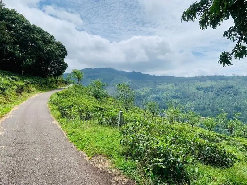 Land for Sale Pudaluoya