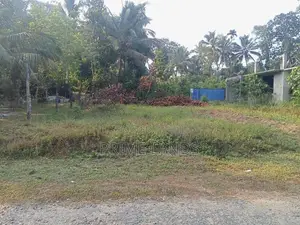 Land for Sale Bellapitiya
