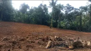 Land for Sale in Waga