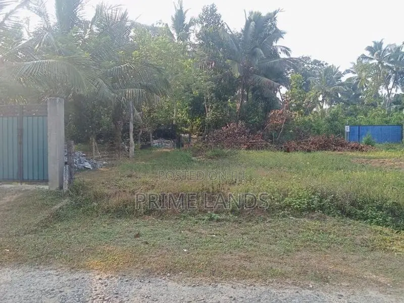 Land for Sale Bellapitiya