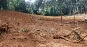 Land for Sale in Waga