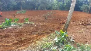 Land for Sale in Waga