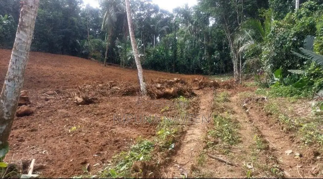 Land for Sale in Waga