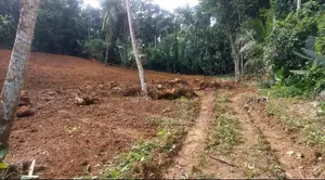 Land for Sale in Waga
