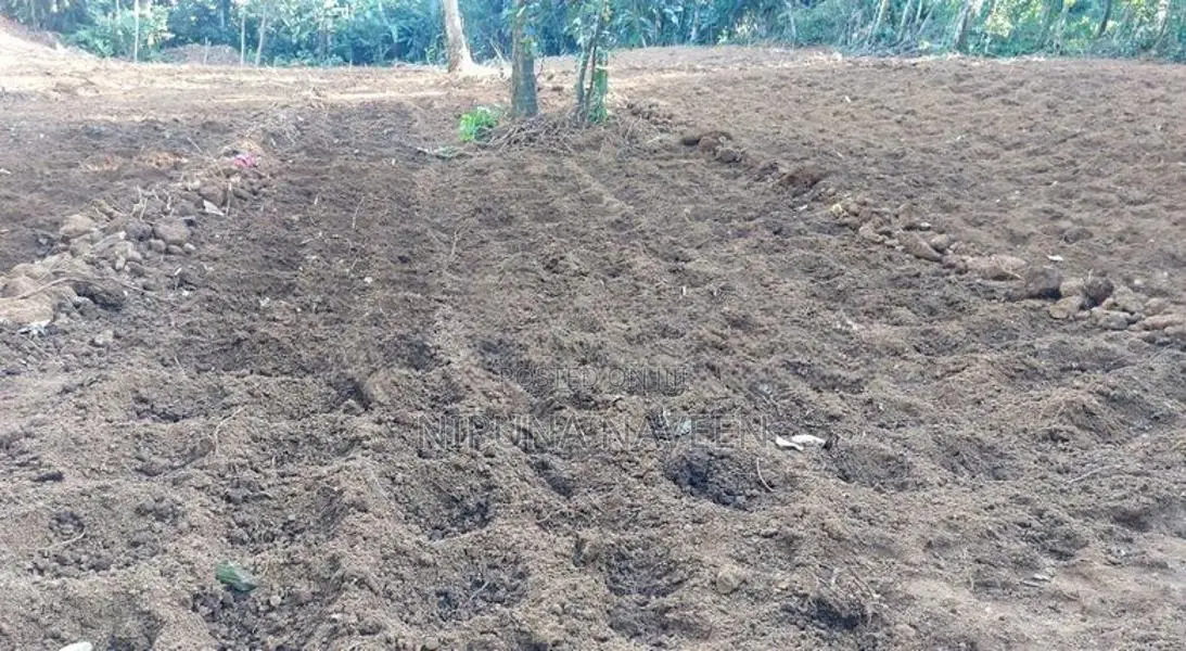 Land for Sale in Waga