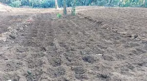 Land for Sale in Waga