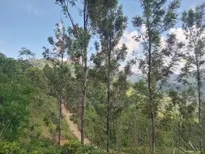 Land for Sale Galaha