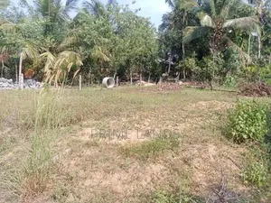 Land for Sale Dikhenapura
