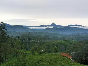 Land for sale in Nuwara Eliya Hatton