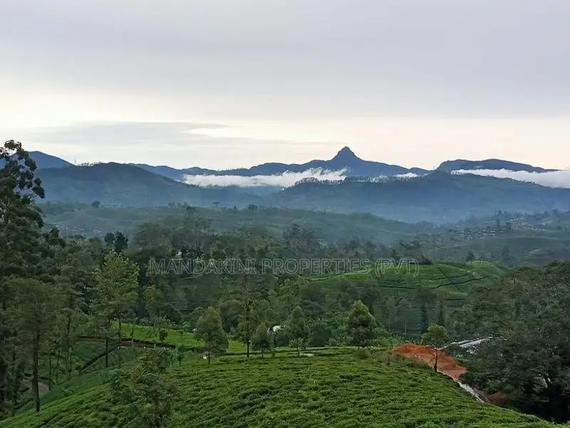 Land for sale in Nuwara Eliya Hatton