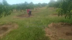 40 PERCH LAND for SALE in Bataatha