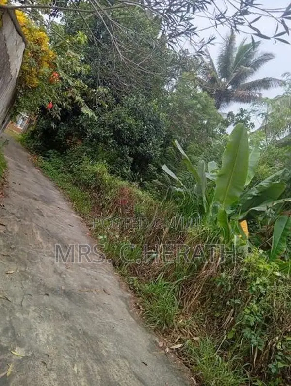 Land for Sale in Kandy