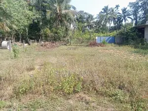 Land for Sale Dikhenapura