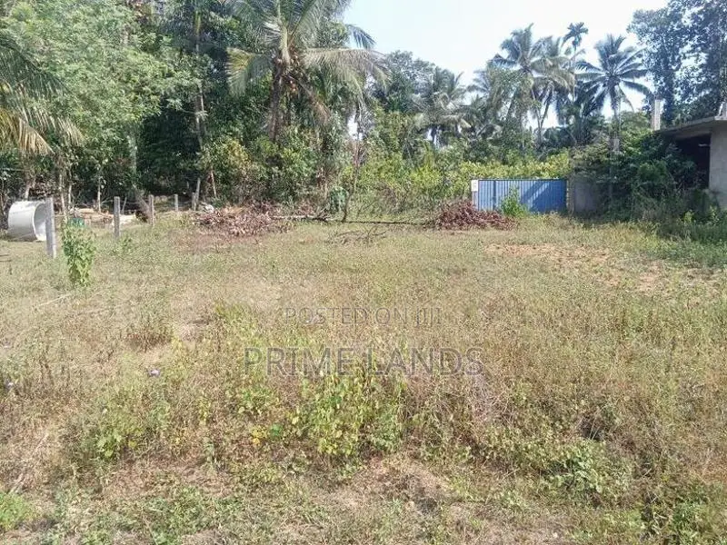 Land for Sale Dikhenapura