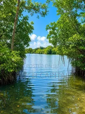 The Tourism Land In Koggala