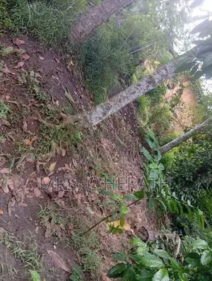 Land for Sale in Kandy