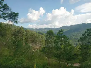 Land for Sale Galaha