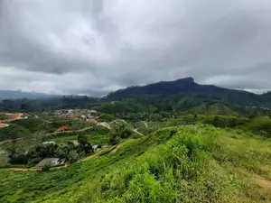 Land for sale in Nuwara Eliya Hatton