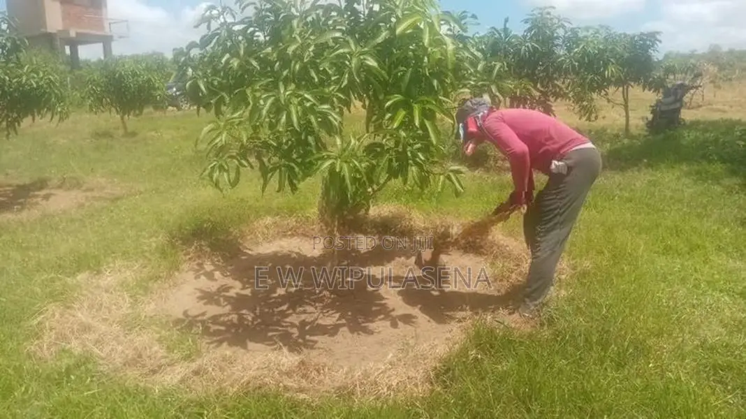 40 PERCH LAND for SALE in Bataatha