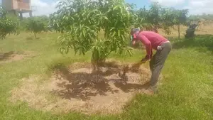 40 PERCH LAND for SALE in Bataatha