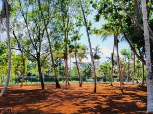 සංචාරකයන් ගේ පාරාදීසයෙක් වන මිදිගම වෙරළ තීරය ආසන්නයෙන් වටිනා ඉඩමක්