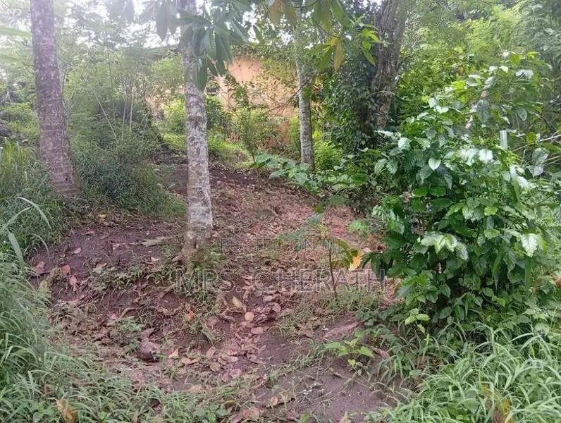 Land for Sale in Kandy