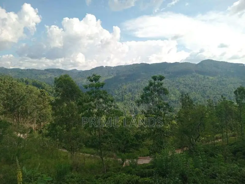 Land for Sale Galaha