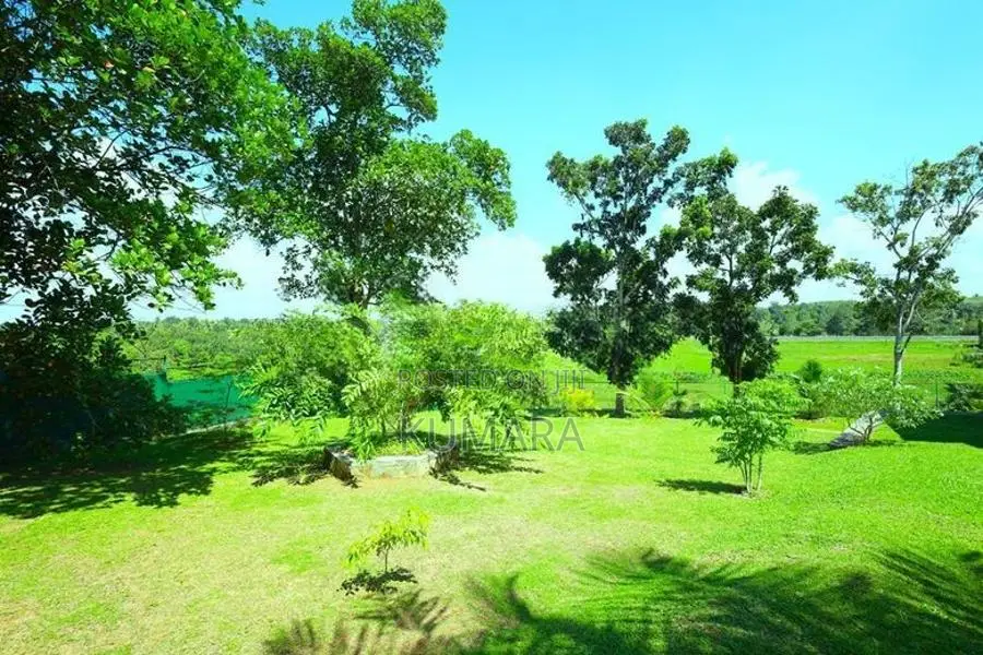 Facing Paddy field |Eco-friendly House for sale in Bandaragama