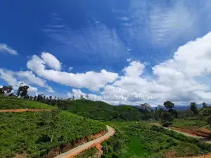 Land for sale in Nuwara Eliya Hatton