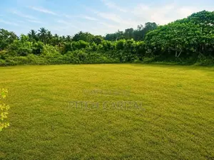 මේ ගොඩ ආටිගලපාරෙන් ටික ගෙවන්න ඉඩමක්