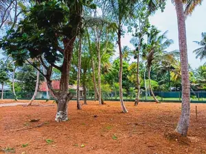Ahangama ( Midigama) Luxury Beach Side Land For Sale