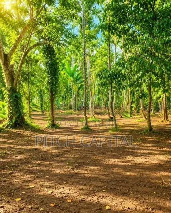 The Tourism Land In Koggala