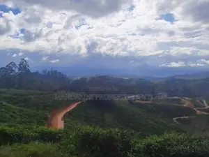 Land for sale in Nuwara Eliya Hatton