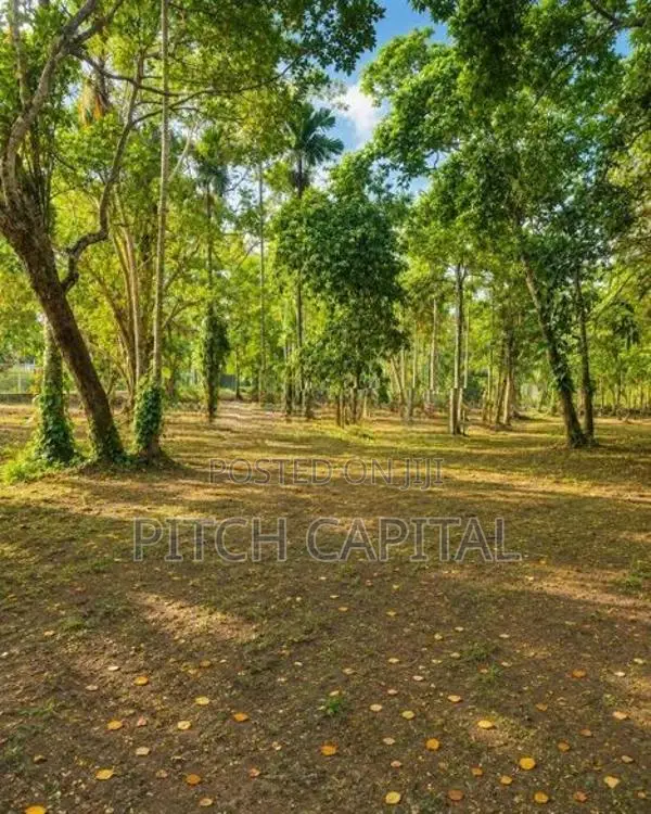 The Tourism Land In Koggala