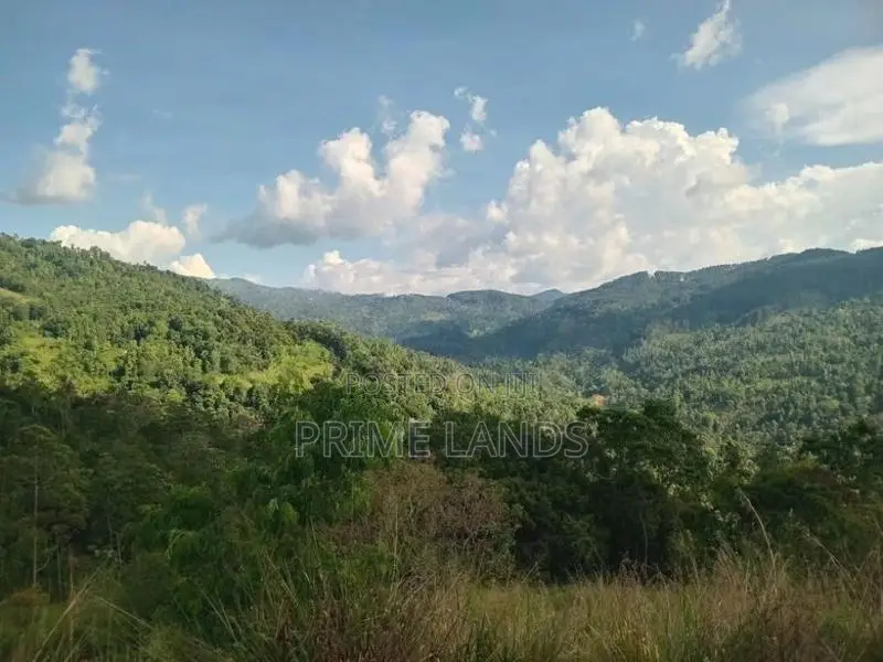 Land for Sale Galaha