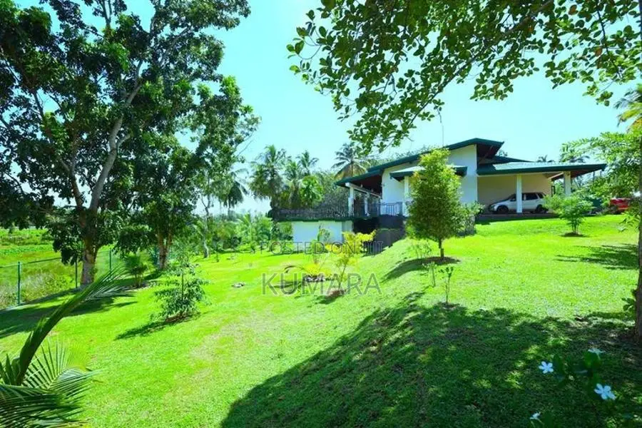 Facing Paddy field |Eco-friendly House for sale in Bandaragama
