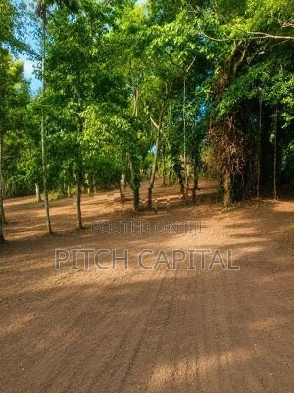 The Tourism Land In Koggala