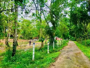 කොග්ගල වැවට මුහුණ ලා සුන්දර බිම් කොටස් රැසක්